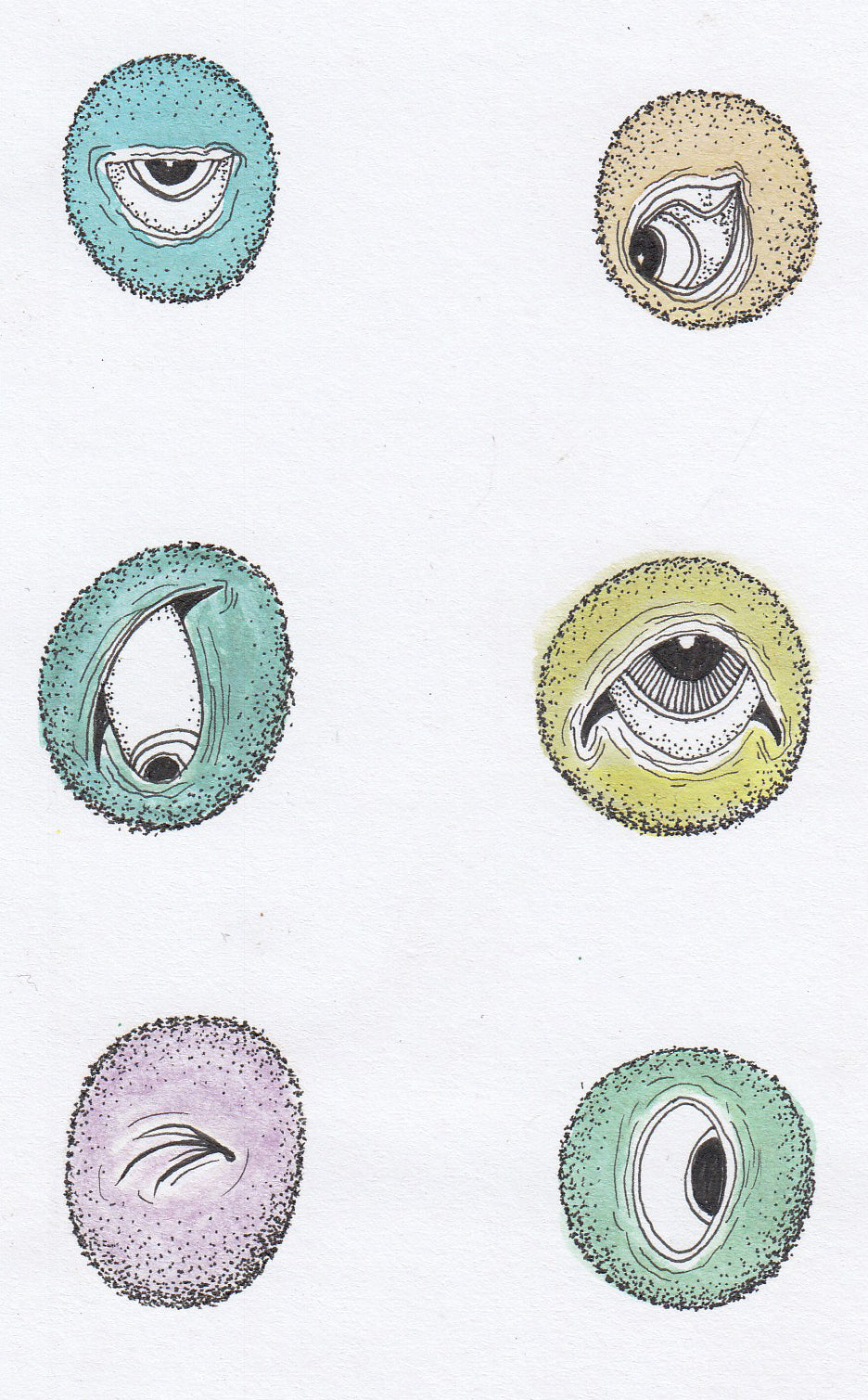 Eye Balls - Brad Mossman