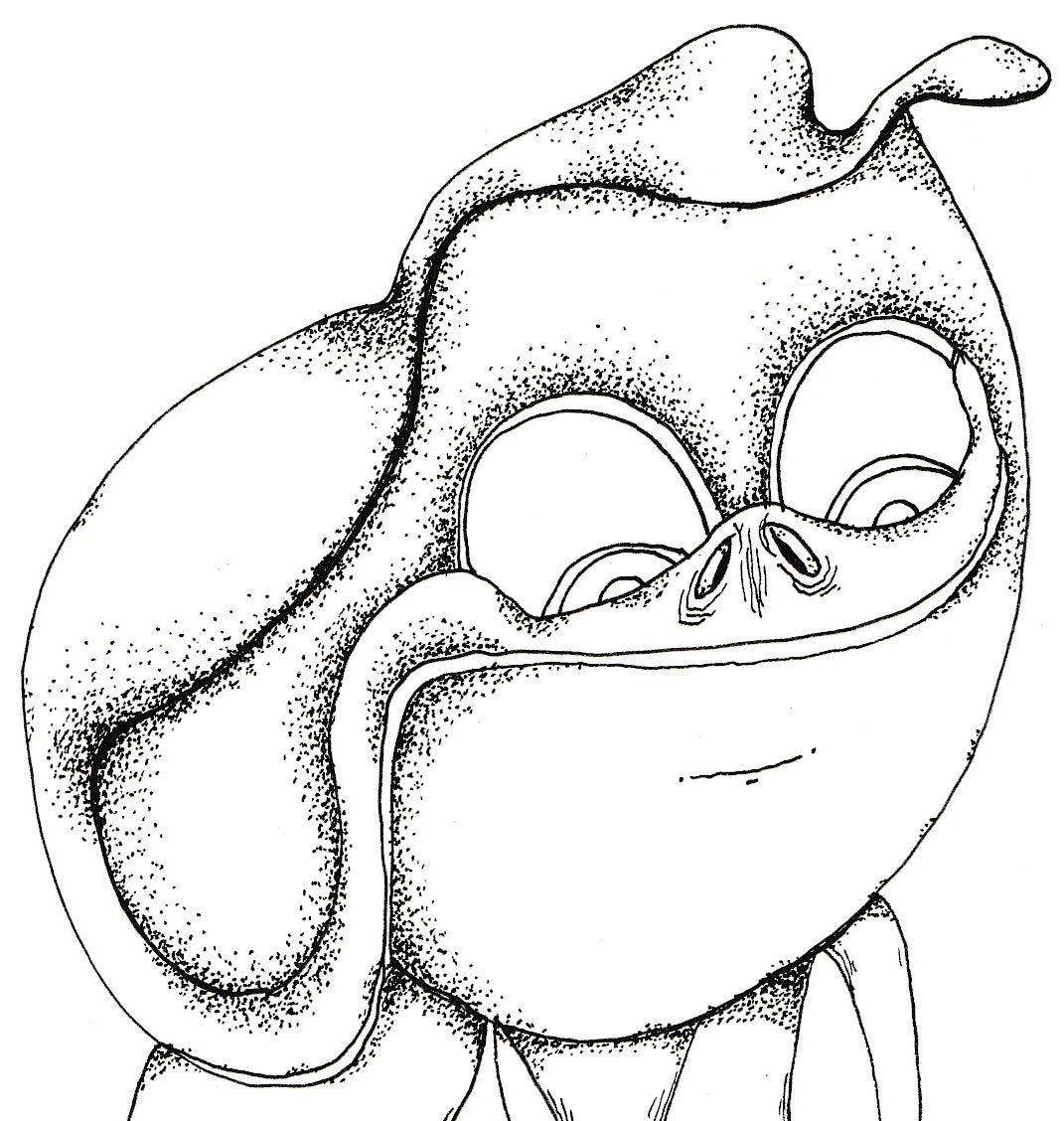 Hole Finder - Brad Mossman