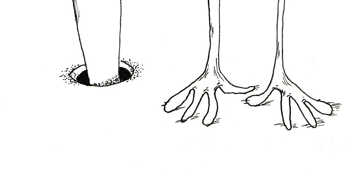 Hole Finder - Brad Mossman