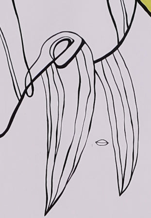 My Magic Hands - Brad Mossman