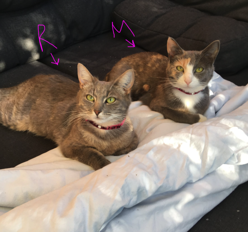 Maggie And Rosie - Brad Mossman