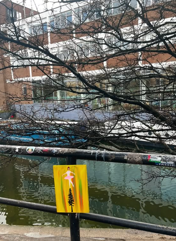 Treetop Ballerina Hoodie