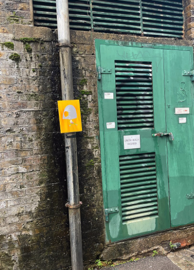 Silver Helmet Head Hoodie