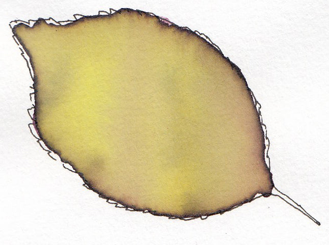 Three Leaves - Brad Mossman