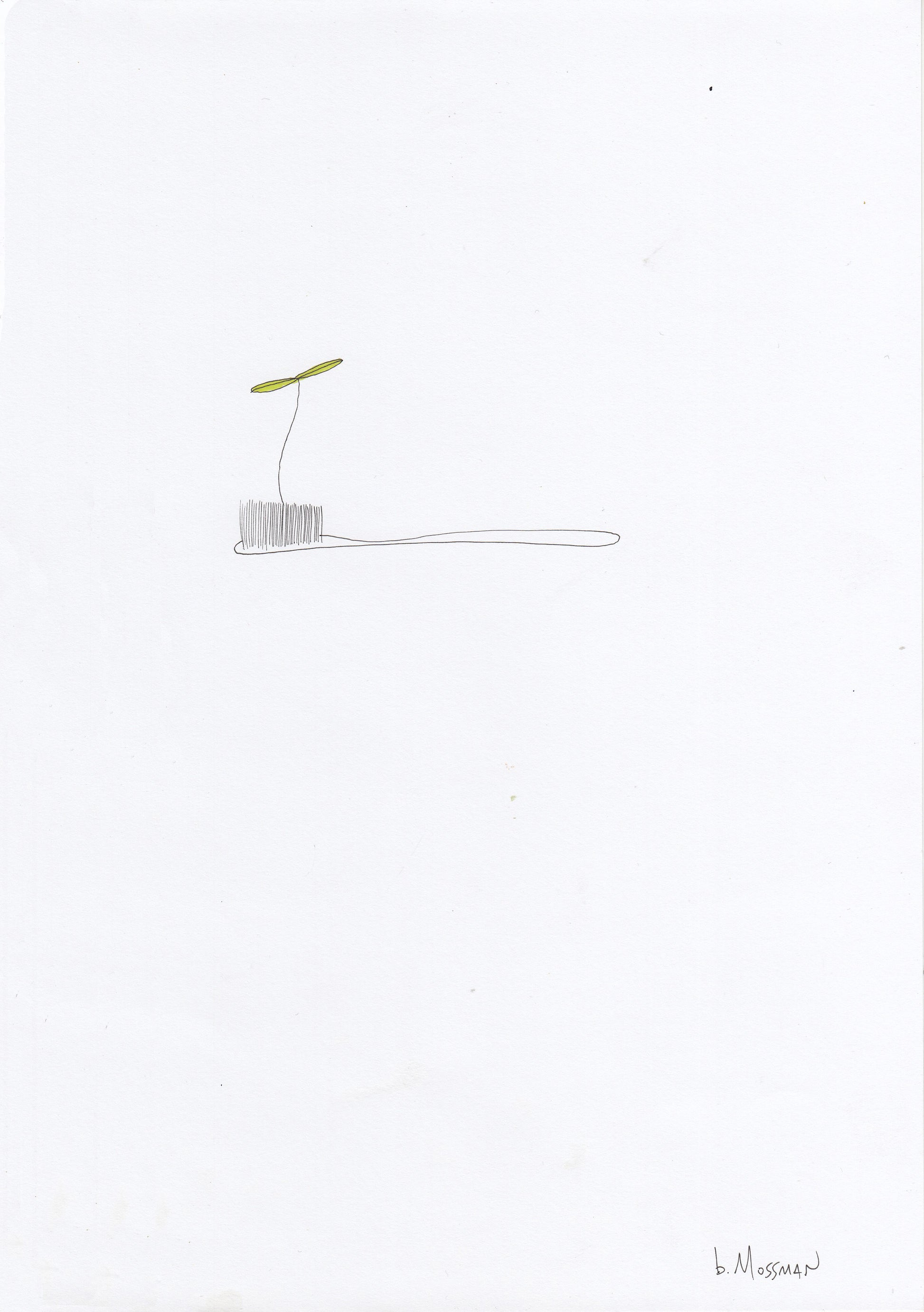 Toothbrush Sprout - Brad Mossman