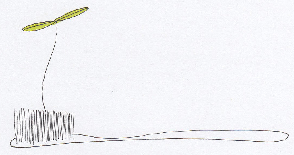 Toothbrush Sprout - Brad Mossman
