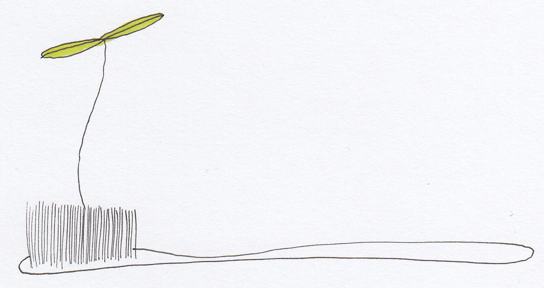 Toothbrush Sprout - Brad Mossman