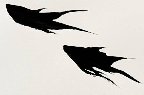 Two Fighters - Brad Mossman