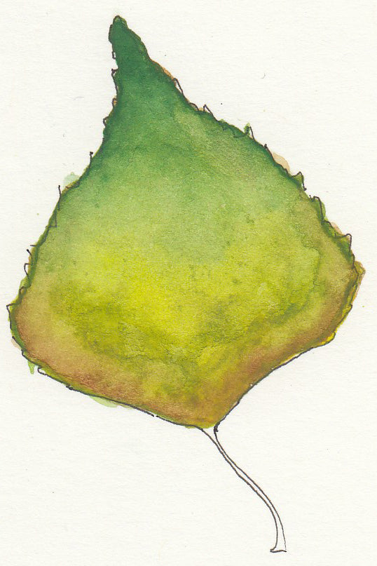 Two Leaves 3 - Brad Mossman