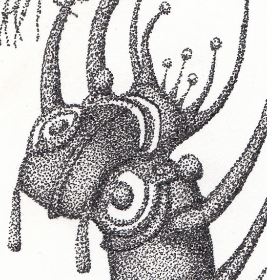 Friend Support - Brad Mossman