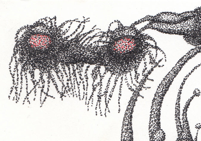 Friend Support - Brad Mossman